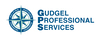 Gudgel Professional Services